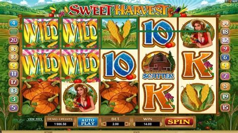 Sweet Harvest Slot .